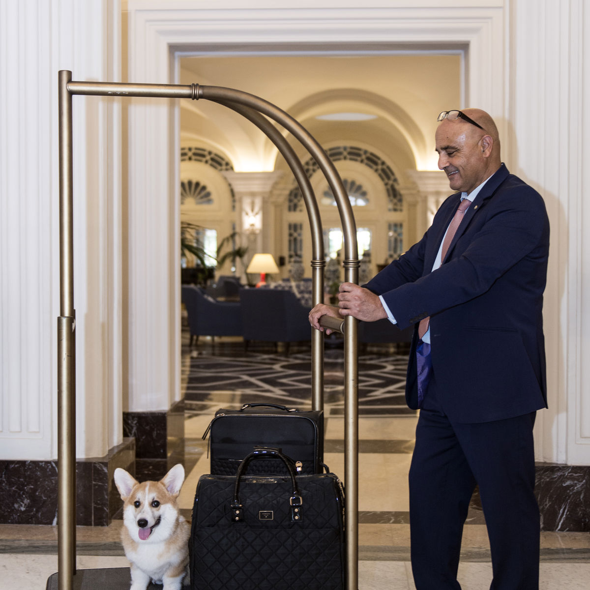 Pets at The Phoenicia Malta