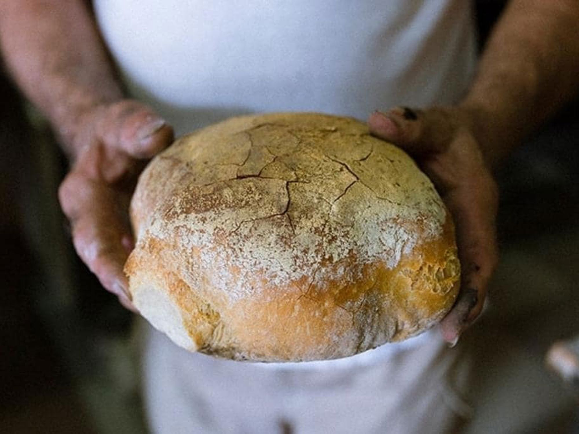 Traditional Maltese Bread Malta
