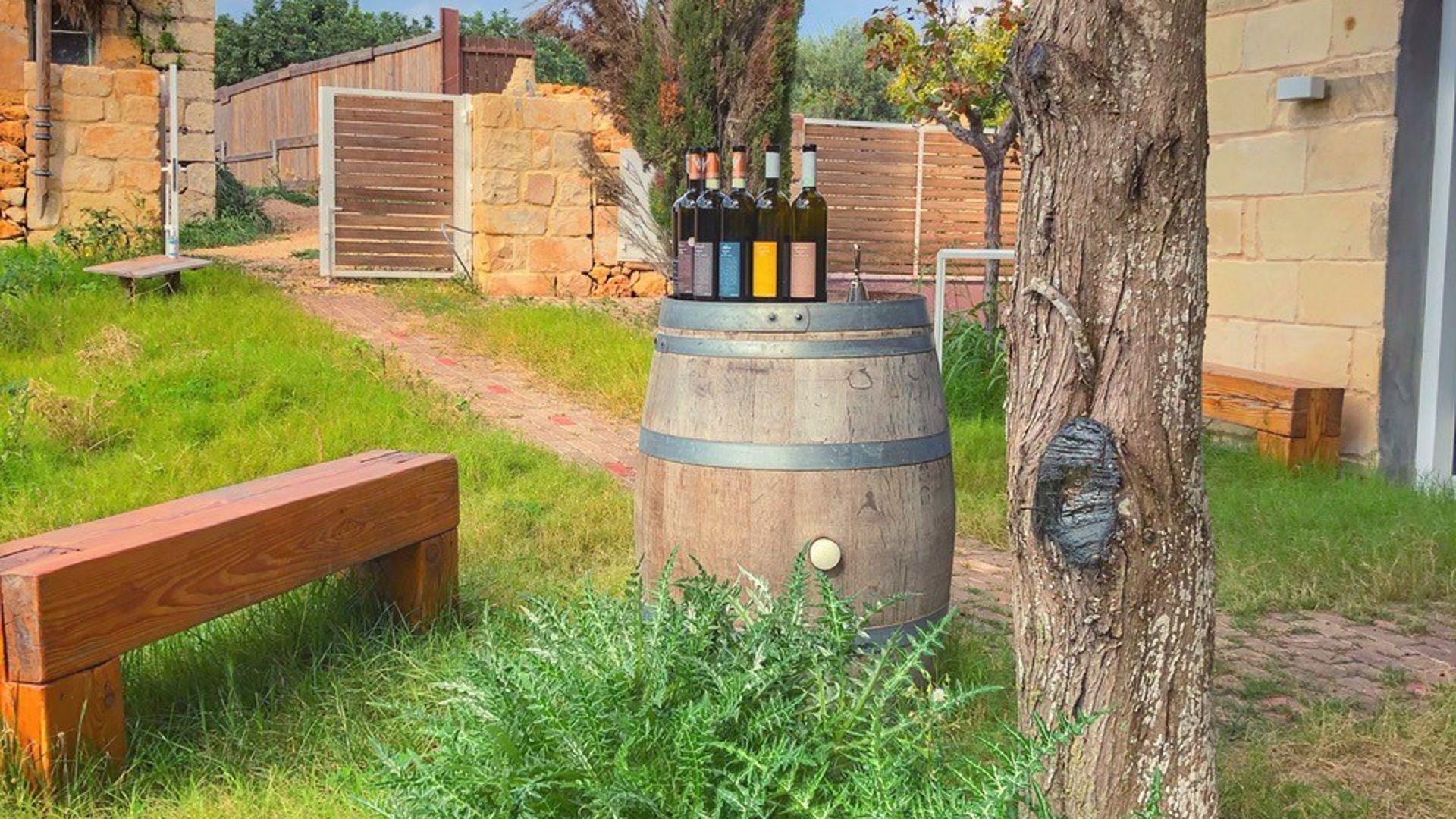 local wine tasting