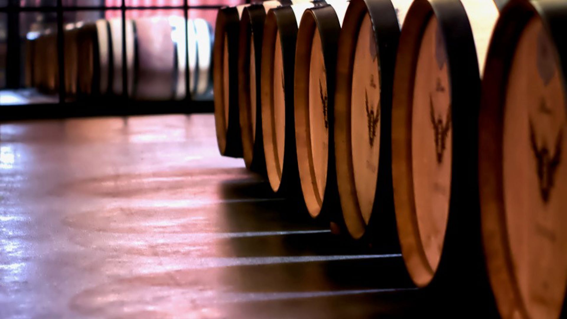local wine tasting