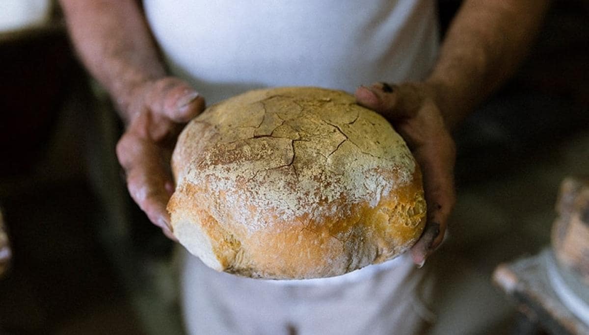 Traditional Maltese Bread, Malta
