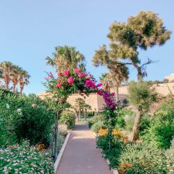 The Phoenicia Malta Gardens
